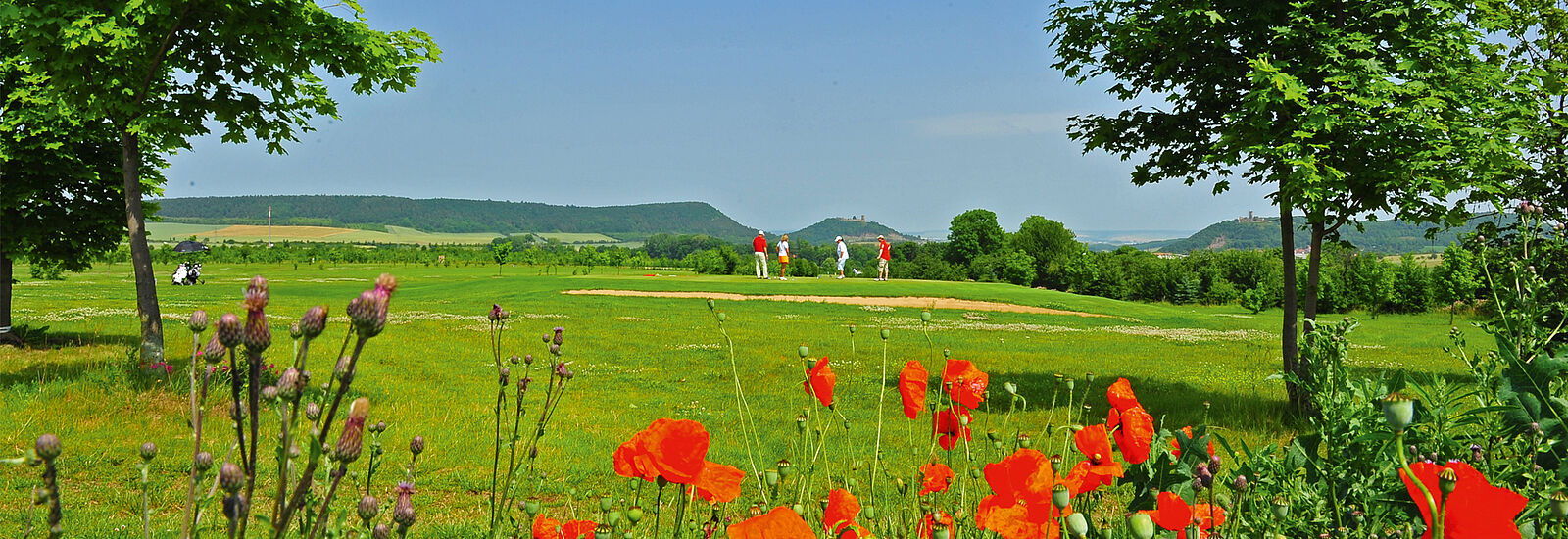 Golfresort Mühlberg ©Livia Zimmermann