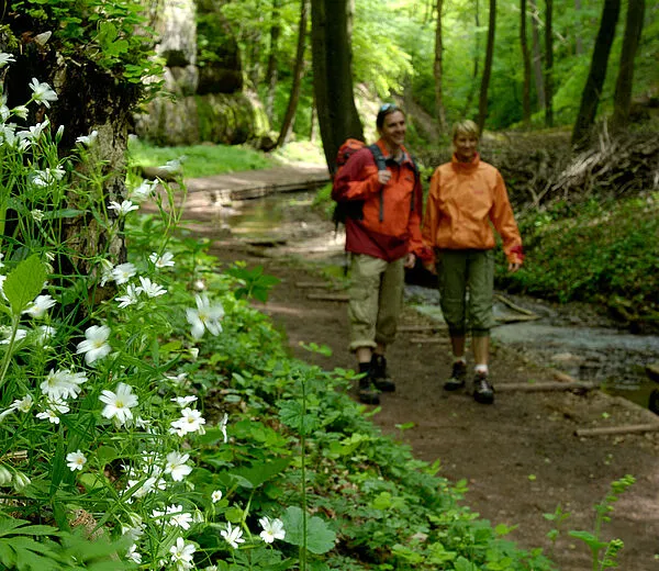 Wandern um Gotha © Archiv Tourismusverband Thüringer Wald_Wolfgang Ehn