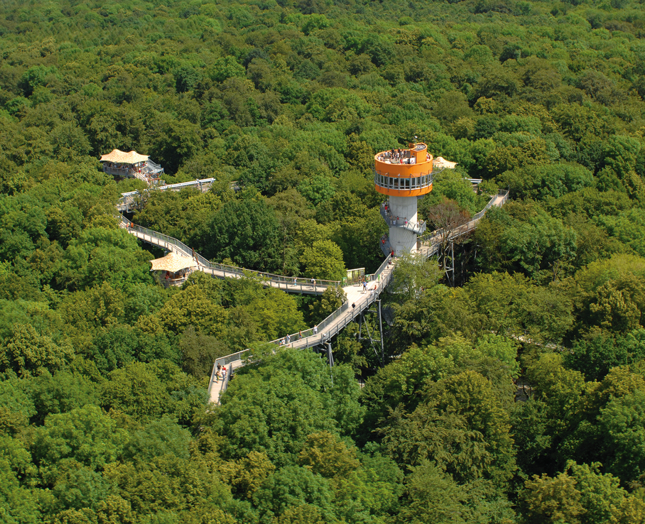 Baumkronenpfad Hainich ©Archiv KTL Kur und Tourismus Bad Langensalza GmbH 