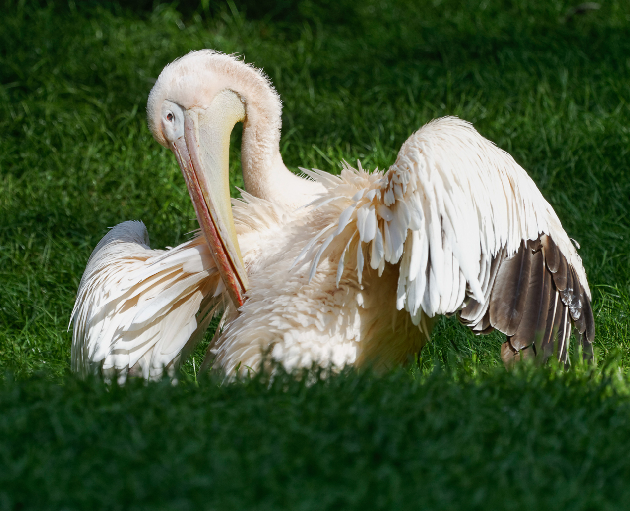 Ostern im Tierpark Gotha
